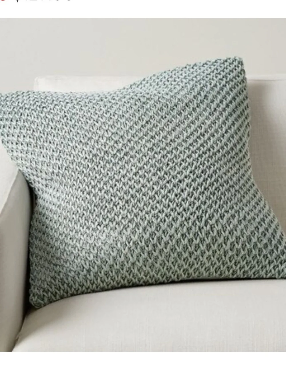 SET OF TWO Pottery Barn throw pillows